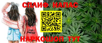 PSILOCYBIN Абакан